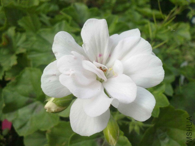 20130117437.jpg