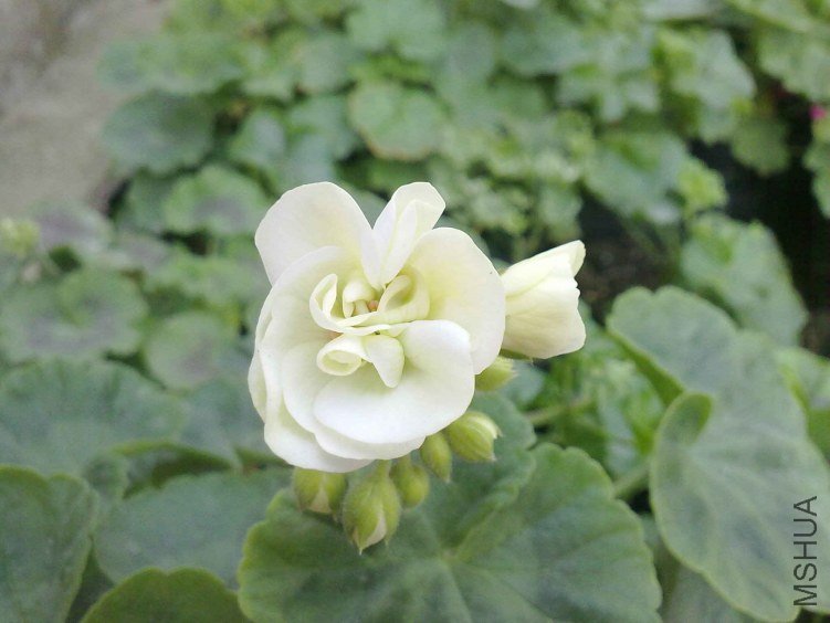 20130117436.jpg