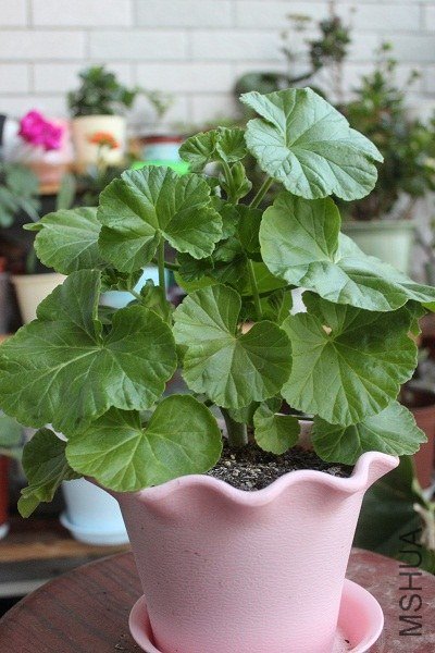 ����Ͱ���