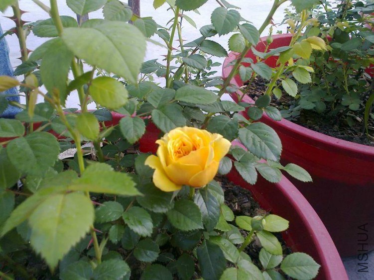 ��Ƭ0958.jpg