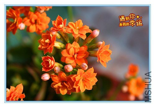 ��Ƭ 063_����.jpg