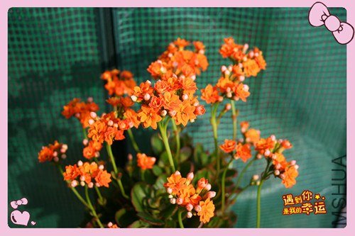 ��Ƭ 055_����.jpg