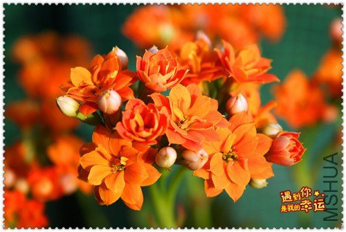 ��Ƭ 056_����.jpg