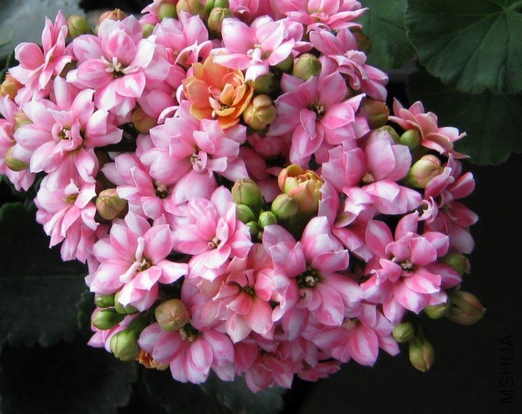 2012.04.30�յ�