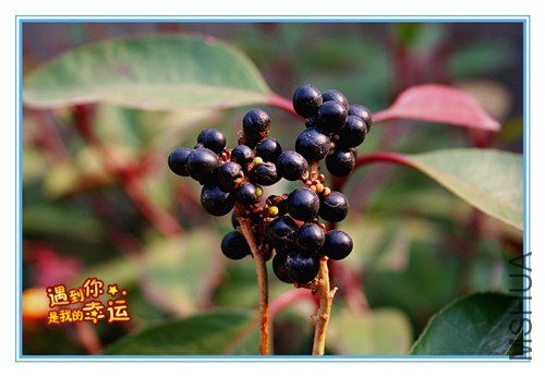 ��Ƭ 040_����.jpg