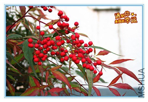 ��Ƭ 034_����.jpg