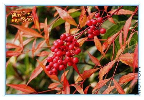 ��Ƭ 037_����.jpg