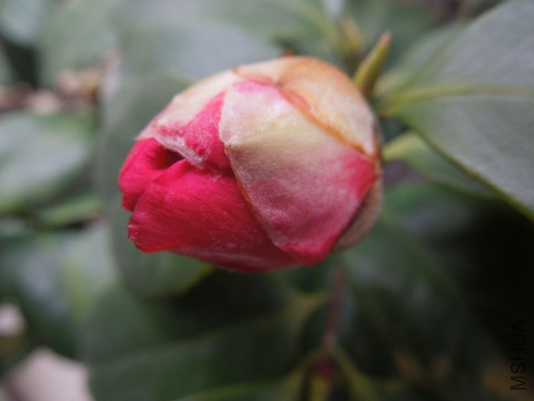 DSCN1673.JPG