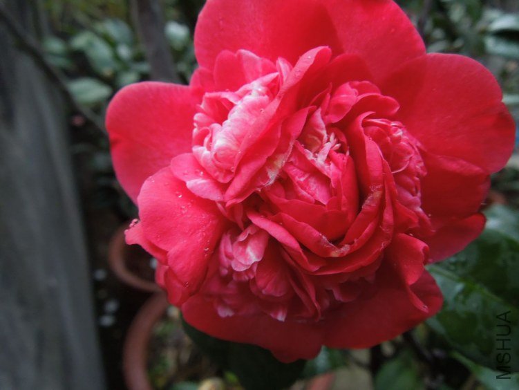 DSCN2811.JPG