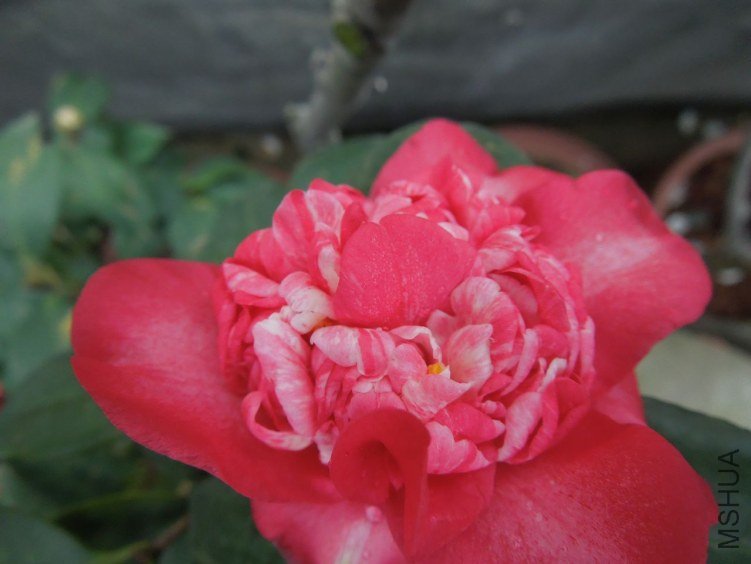 DSCN2843.JPG