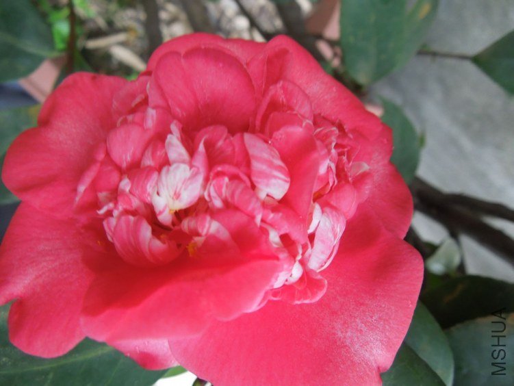 DSCN2844.JPG