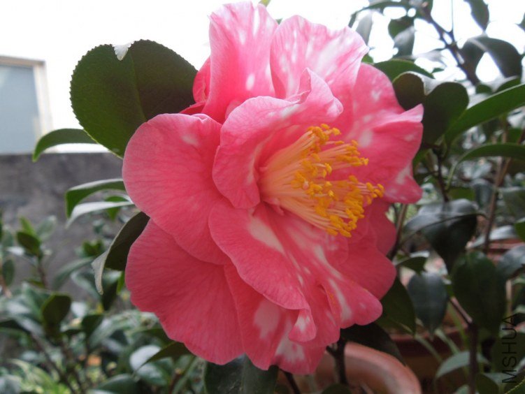 DSCN2848.JPG