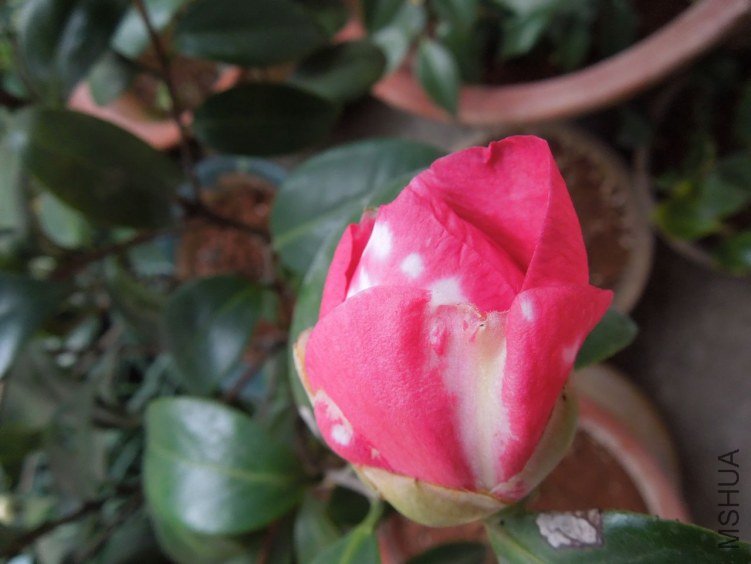 DSCN2851.JPG