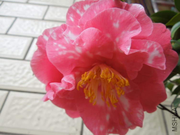 DSCN2862.JPG