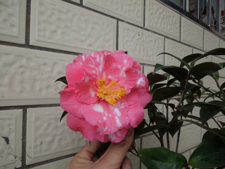 DSCN2863.JPG