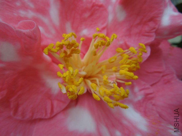 DSCN2865.JPG