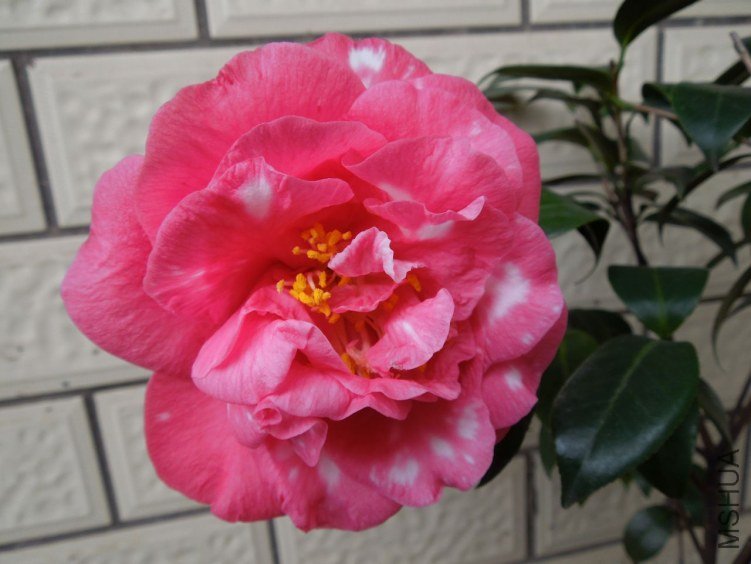 DSCN2896.JPG