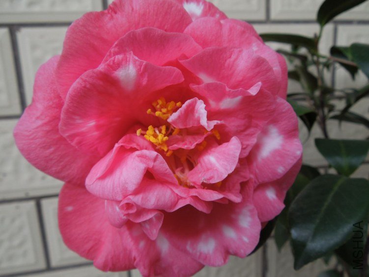 DSCN2897.JPG