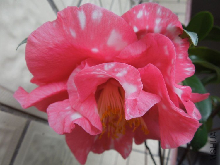 DSCN2898.JPG