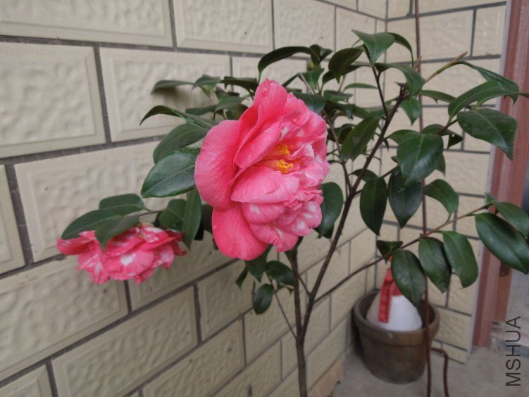 DSCN2899.JPG