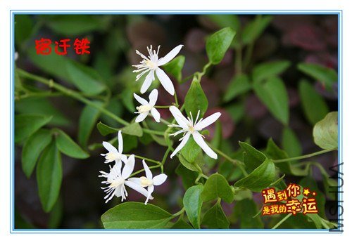 23��Ƭ 019_����_����.jpg