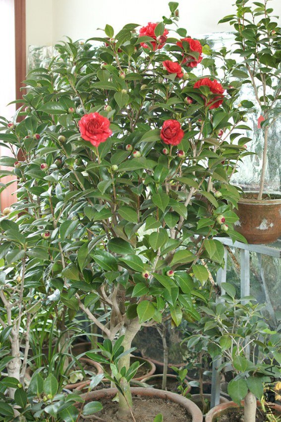 DSC084507.jpg