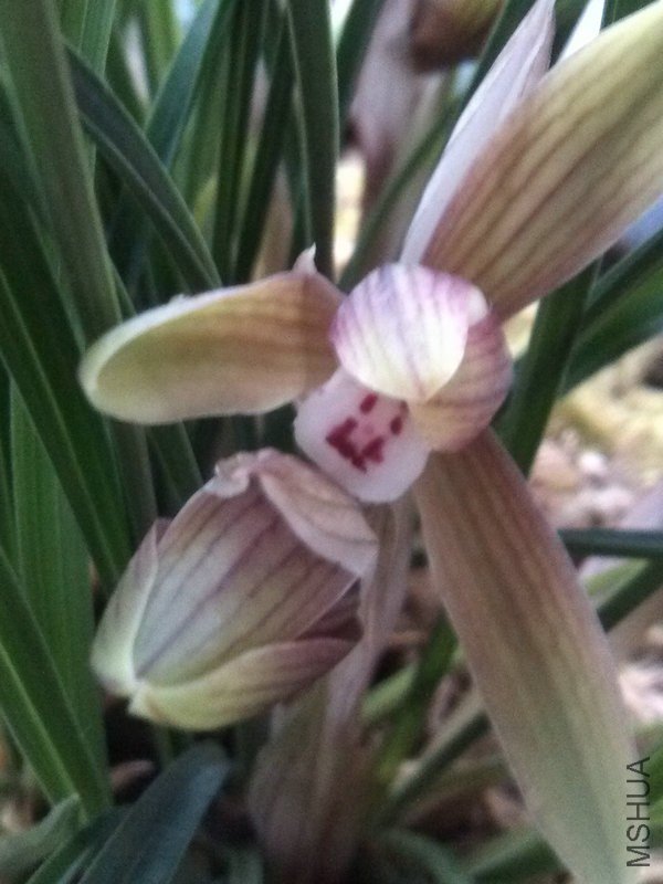 ������-2.7.13 (1).jpg