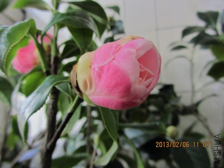 IMG_0001.JPG
