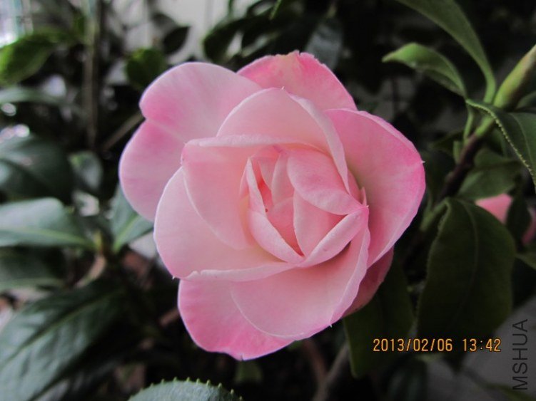 IMG_0009.JPG