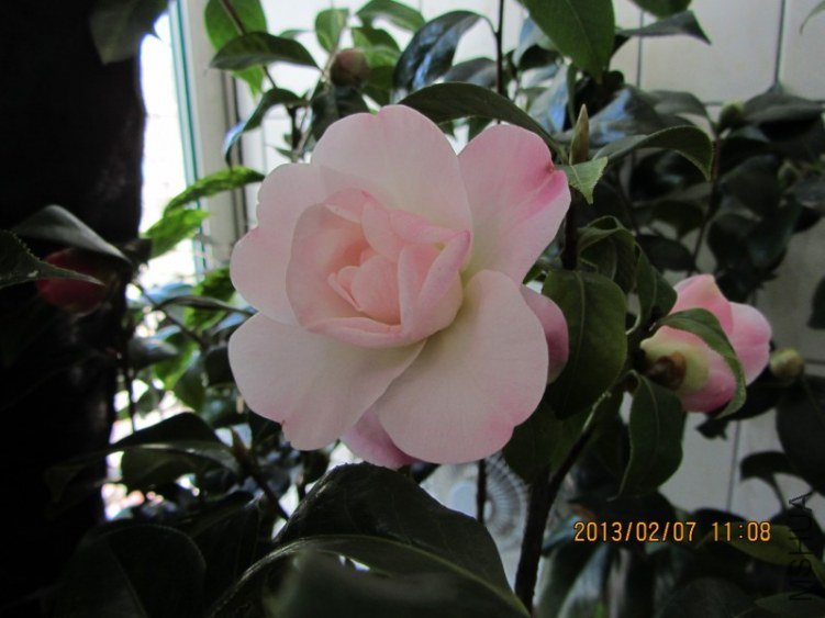 IMG_0035.JPG