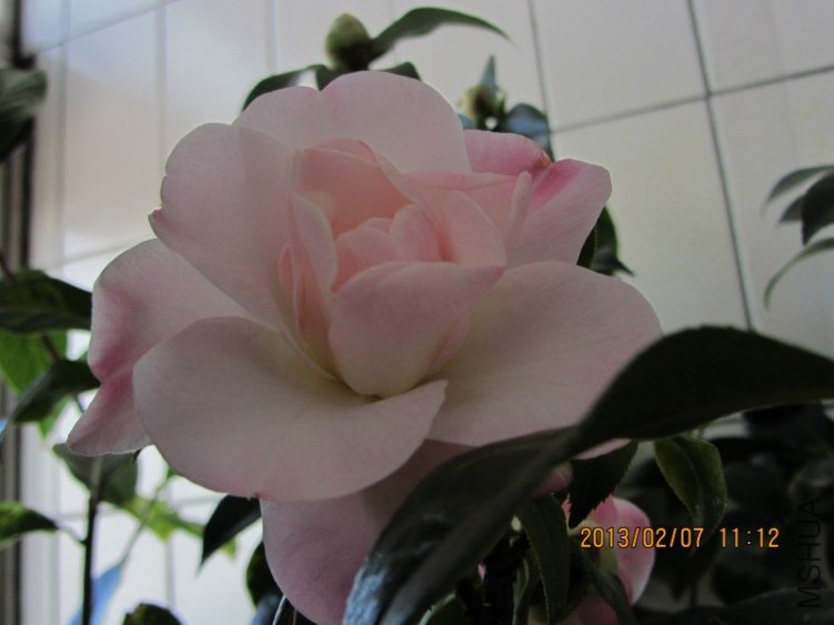 IMG_0037.JPG
