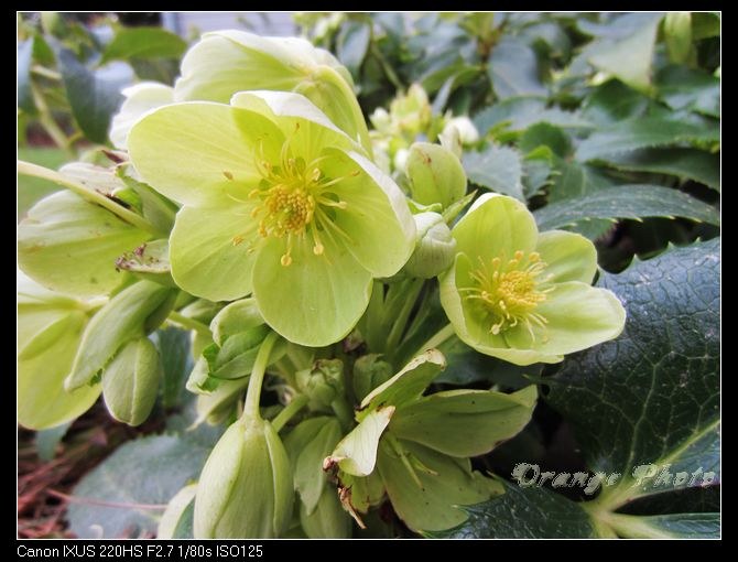 nEO_IMG_2012��2��Ӣ�� 012 (2).jpg