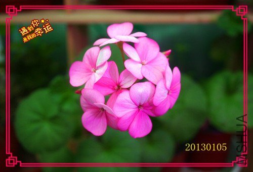 ��Ƭ 030_����.jpg