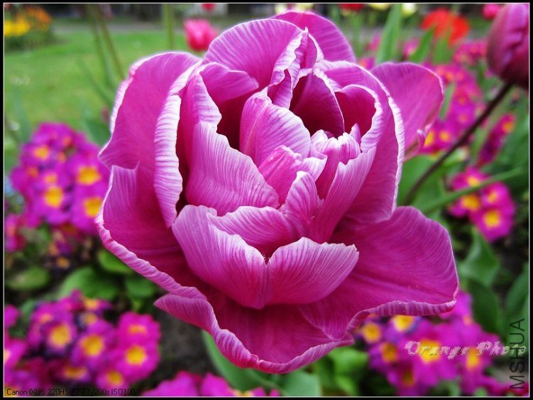nEO_IMG_IMG_3576.jpg
