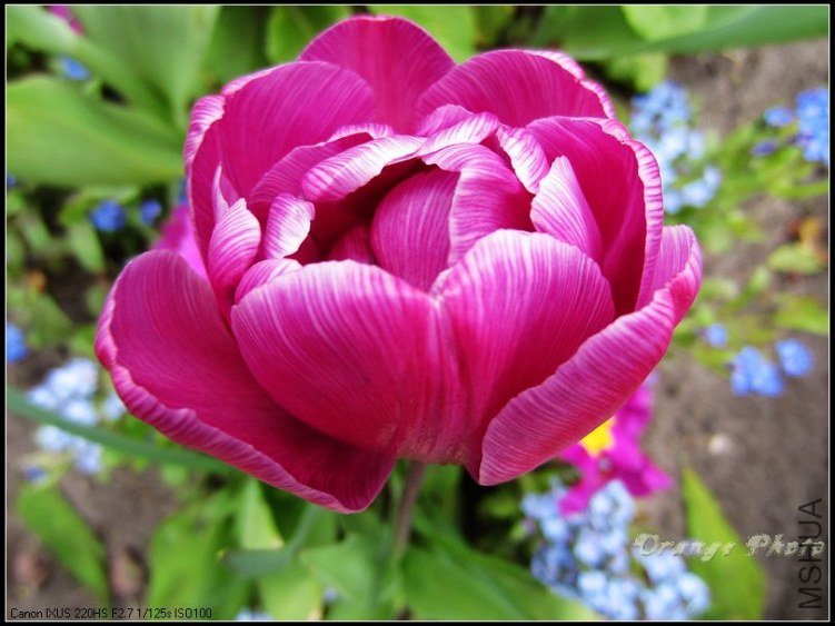 nEO_IMG_IMG_3582.jpg