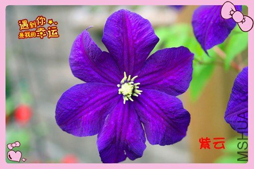 36��Ƭ 038_����3_����.jpg