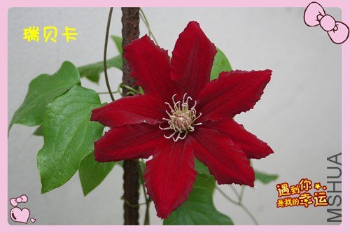 25��Ƭ 001_����_����.jpg