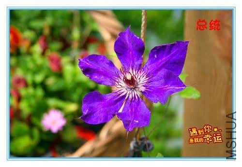 28��Ƭ 022_������_����.jpg