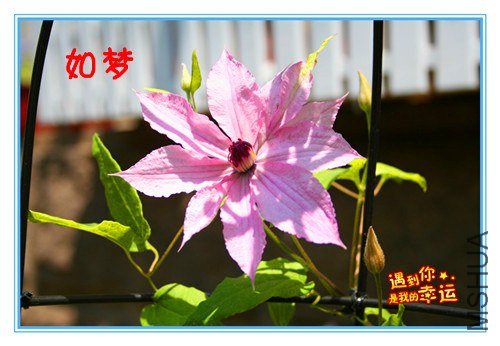 29��Ƭ 034_����_����.jpg