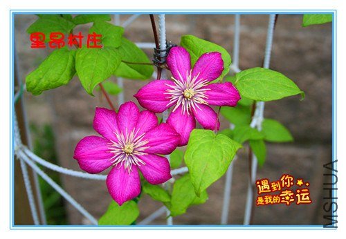 31��Ƭ 041_������1_����.jpg