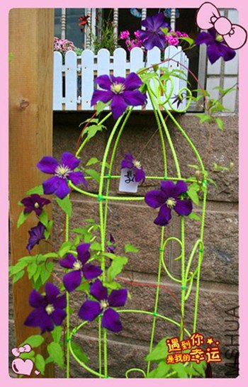 34��Ƭ 035_������1_����_����_����_����.jpg