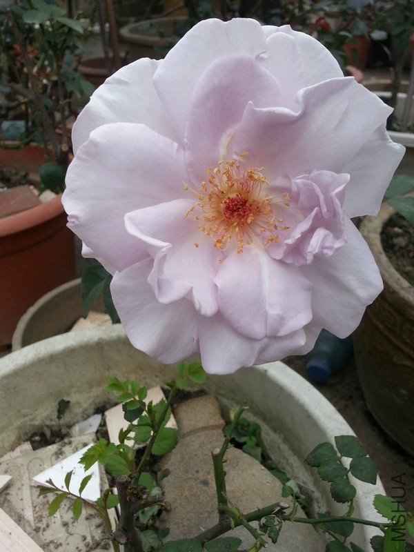 20130131_150702.jpg