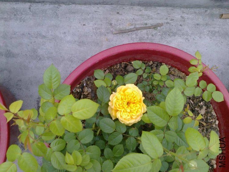 ��Ƭ0968.jpg