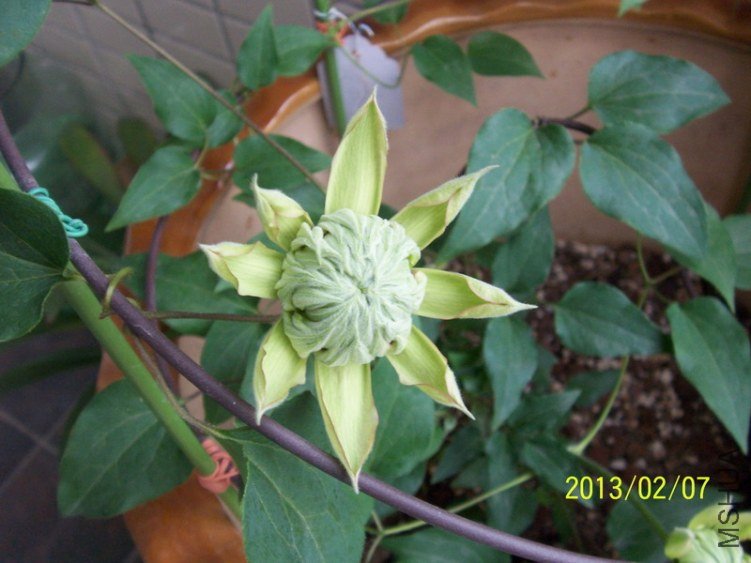100_7735.JPG