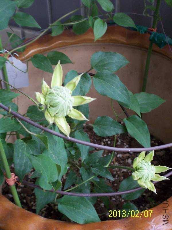 100_7741.JPG