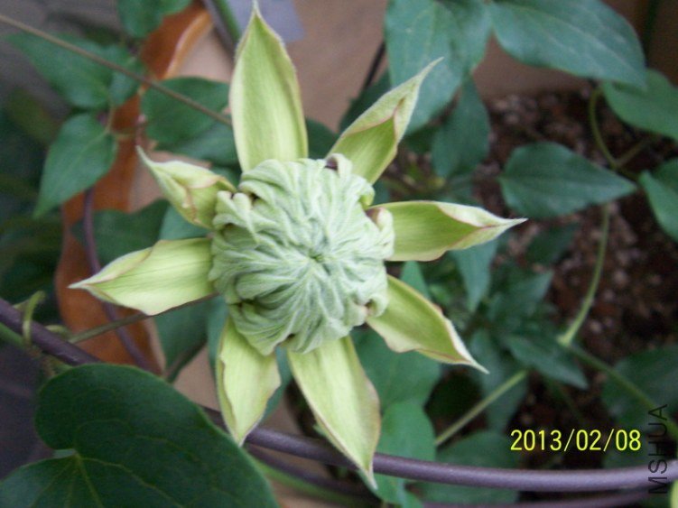 100_7764.JPG