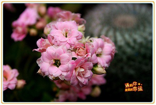 ��Ƭ 060_����.jpg