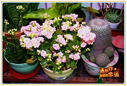 ��Ƭ 055_����.jpg