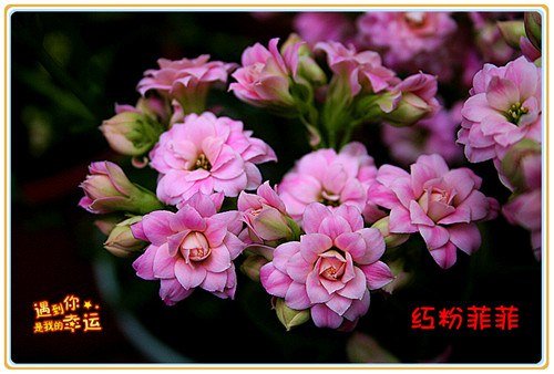 ��Ƭ 059_����.jpg