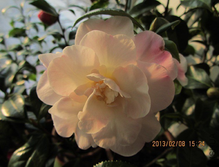 IMG_0076.JPG